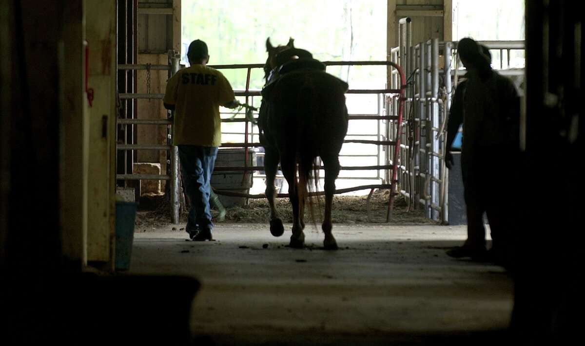 Where to go horseback riding in Connecticut
