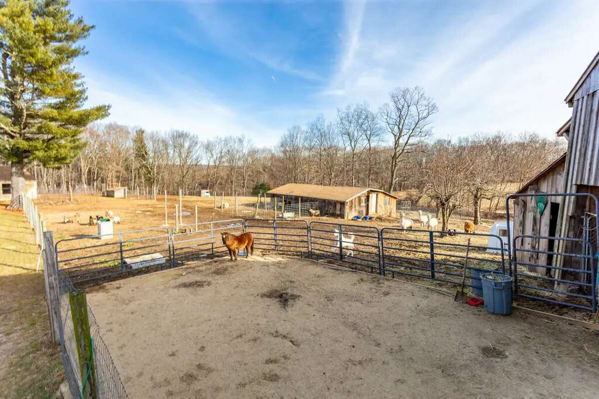 Bluebird Farm Barn Loft - Willington $30 a night/$31 a night on weekends Welcome to Bluebird Farm! The converted barn loft and garden gazebo is a perfect getaway spot. Escape to this 40-acre sanctuary that is suitable for travelers, artists or anyone looking to visit a working farm. View full listing on Airbnb