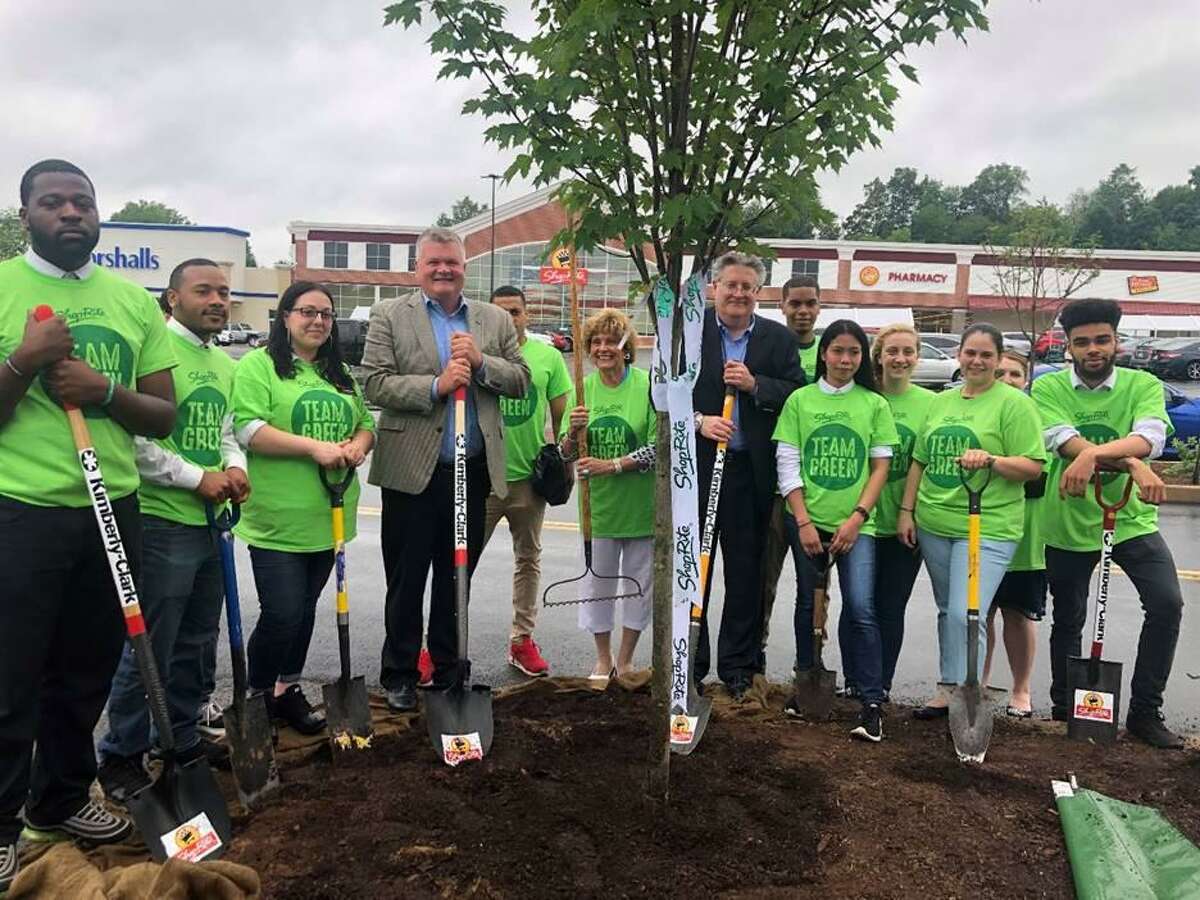 ShopRite of Cromwell plants tree as part of large sustainability effort