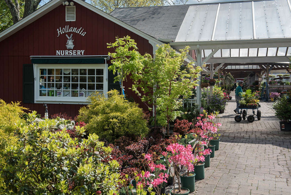 Hollandia Nurseries: Growing a legacy