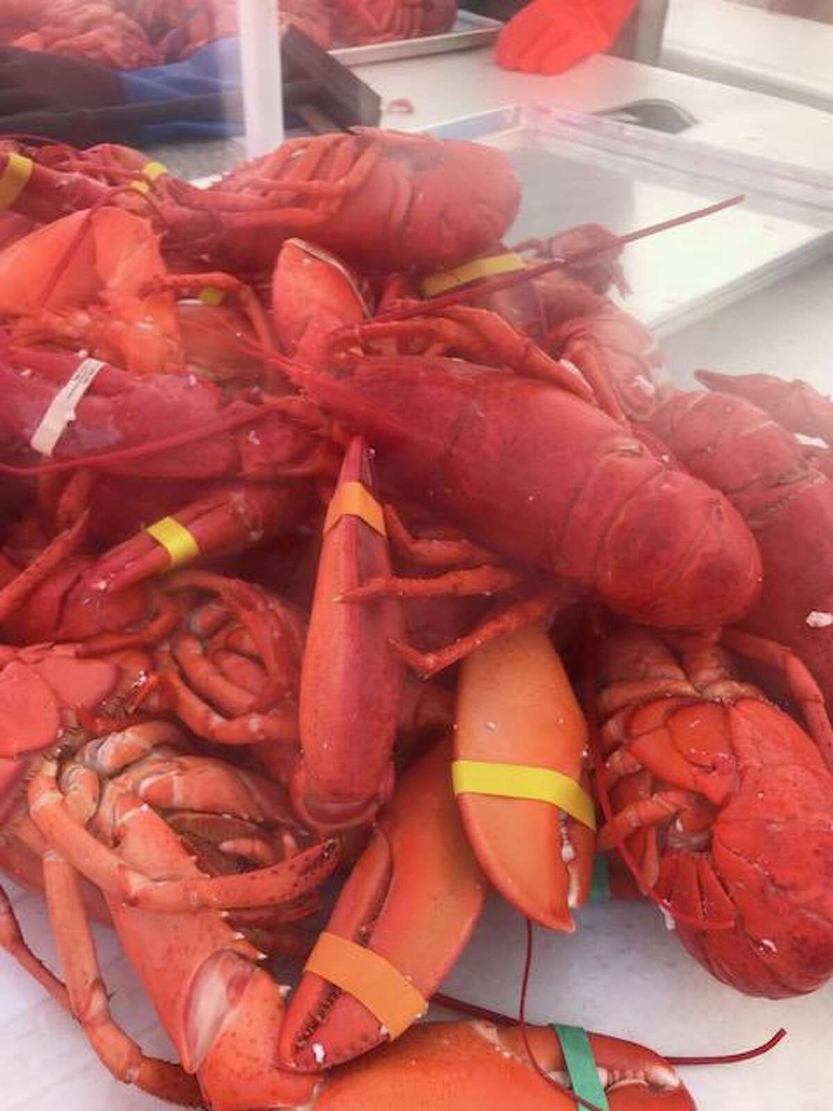 Milford Rotary has tickets for annual Lobster Bake