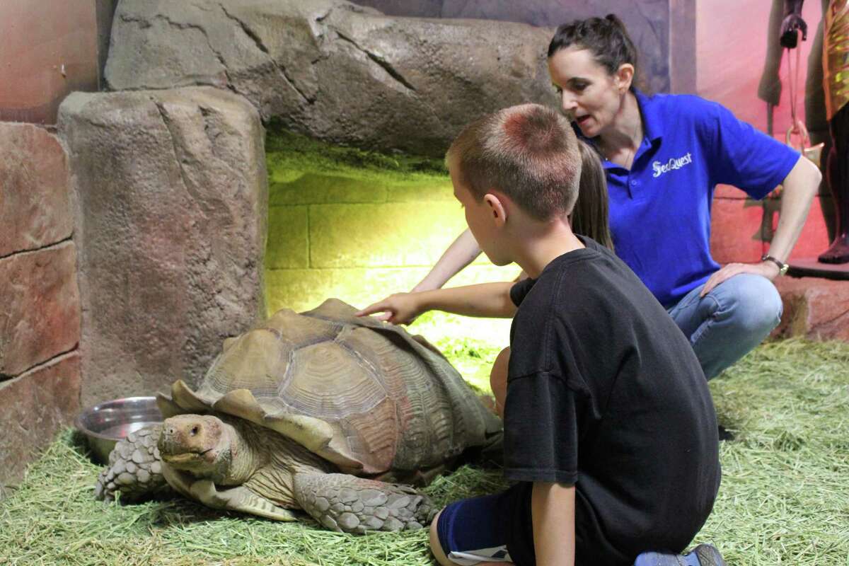 SeaQuest Interactive Aquarium opens in Trumbull