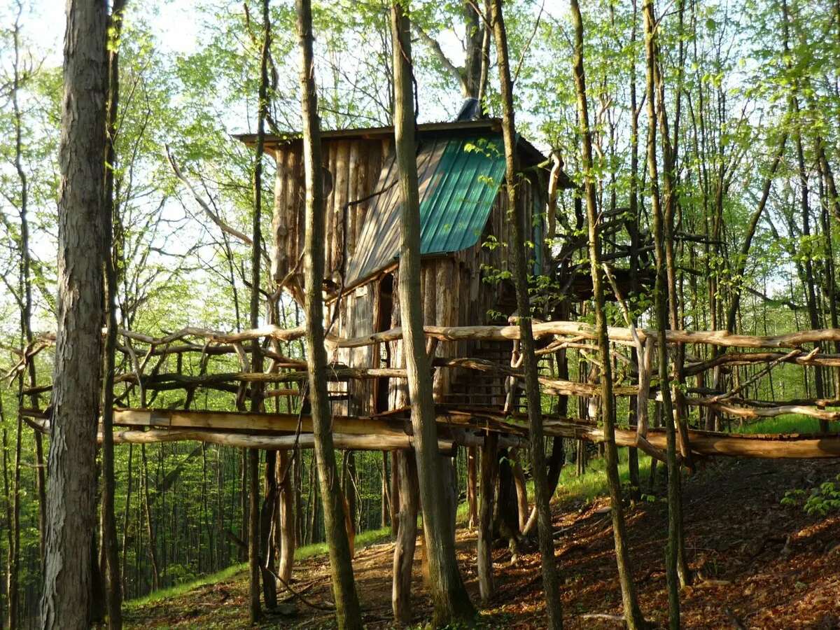 The Hermit Thrush Treehouse, West Pawlet $160 a night Description: Everybody loves the idea of a tree house. There is something freeing, natural and connective to our childhood in the idea. Feel the gentle movement of the structure as it sighs with the wind. Life off of the ground.... even if only for a weekend. View full listing on Airbnb