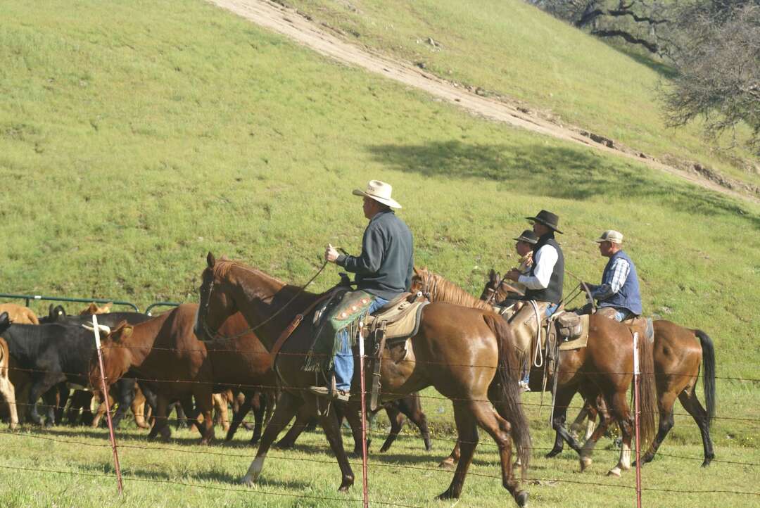 Bay Area ranch, larger than San Francisco, listed for $72 million