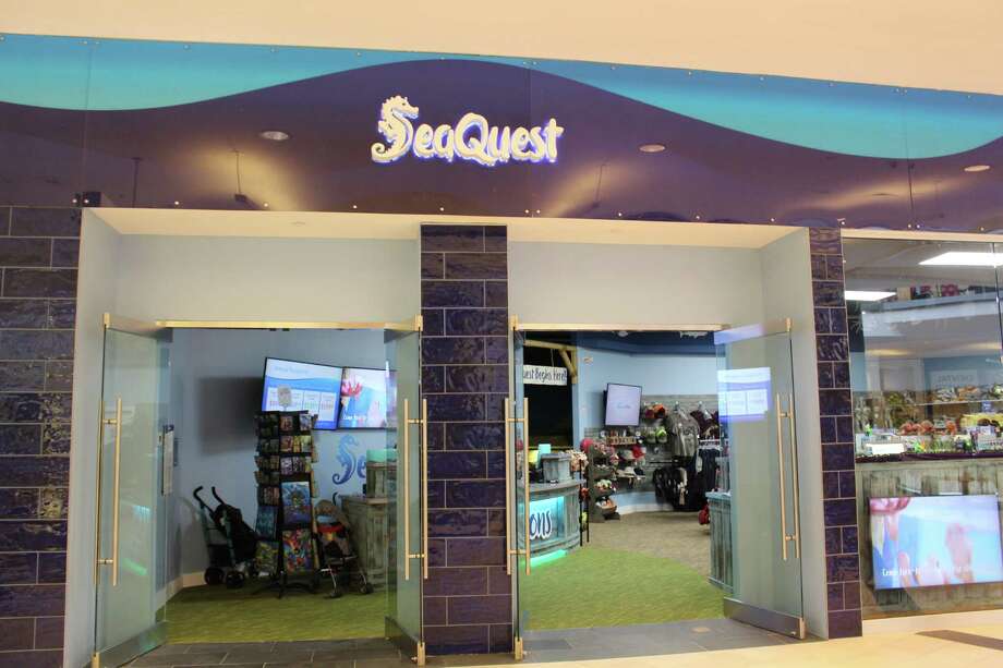 SeaQuest Interactive Aquarium opens in Trumbull Trumbull Times