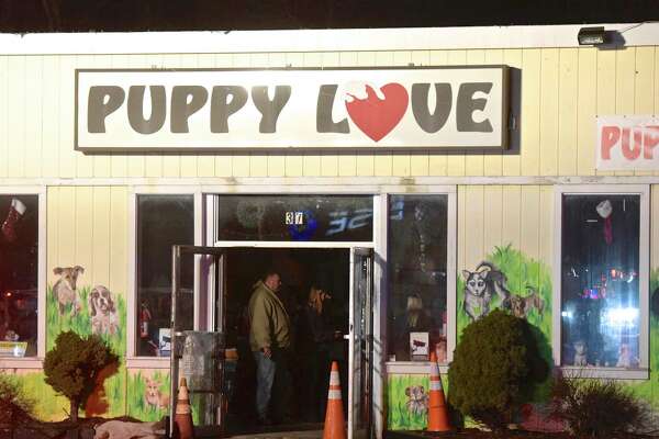 puppy love store near me
