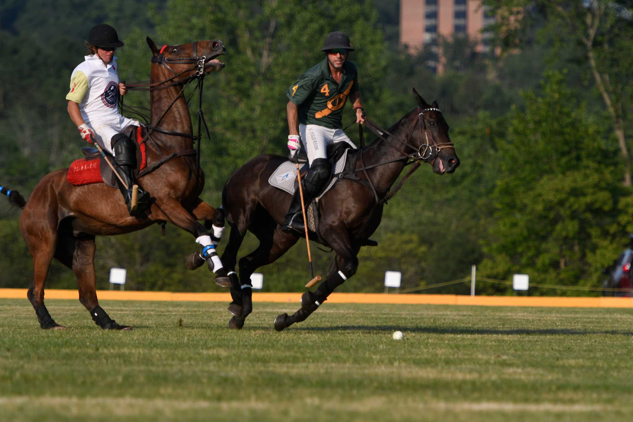 Saratoga polo club future uncertain - Times Union