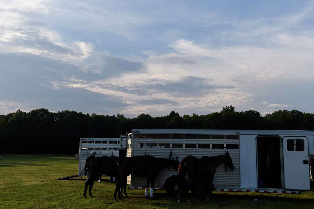 Polo horses sit tied to a trailer during the season opening match at Saratoga Polo Club on July 5, 2019 in Greenfield. (Jenn March, Special to the Times Union )