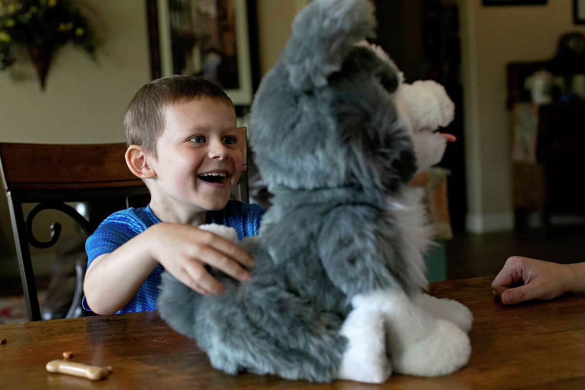 Rowland Withers, 6, plays with a mechanical dog that eats plastic treats, at his home in New Braunfels on Friday, June 21, 2019.