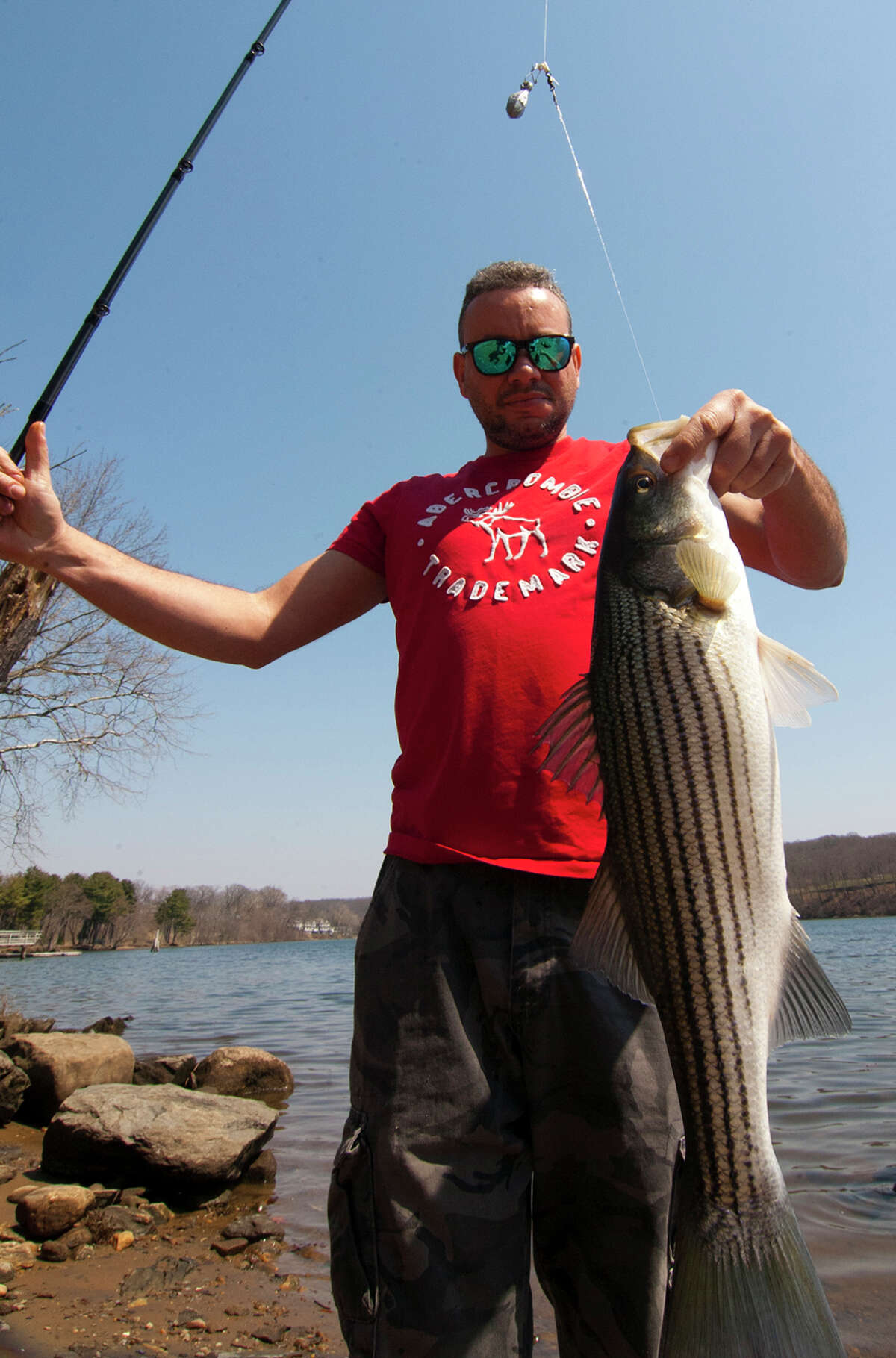 New Canaan Survey asks anglers for input on new striped bass regulations