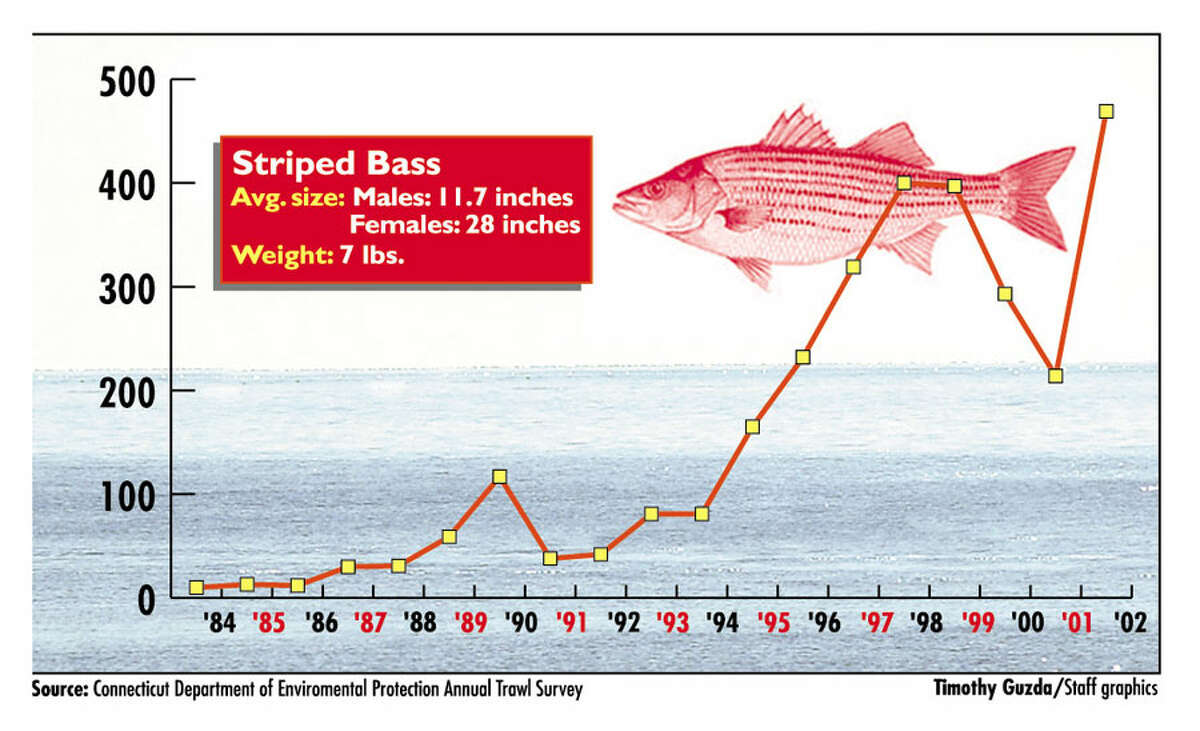 New Canaan Survey asks anglers for input on new striped bass regulations