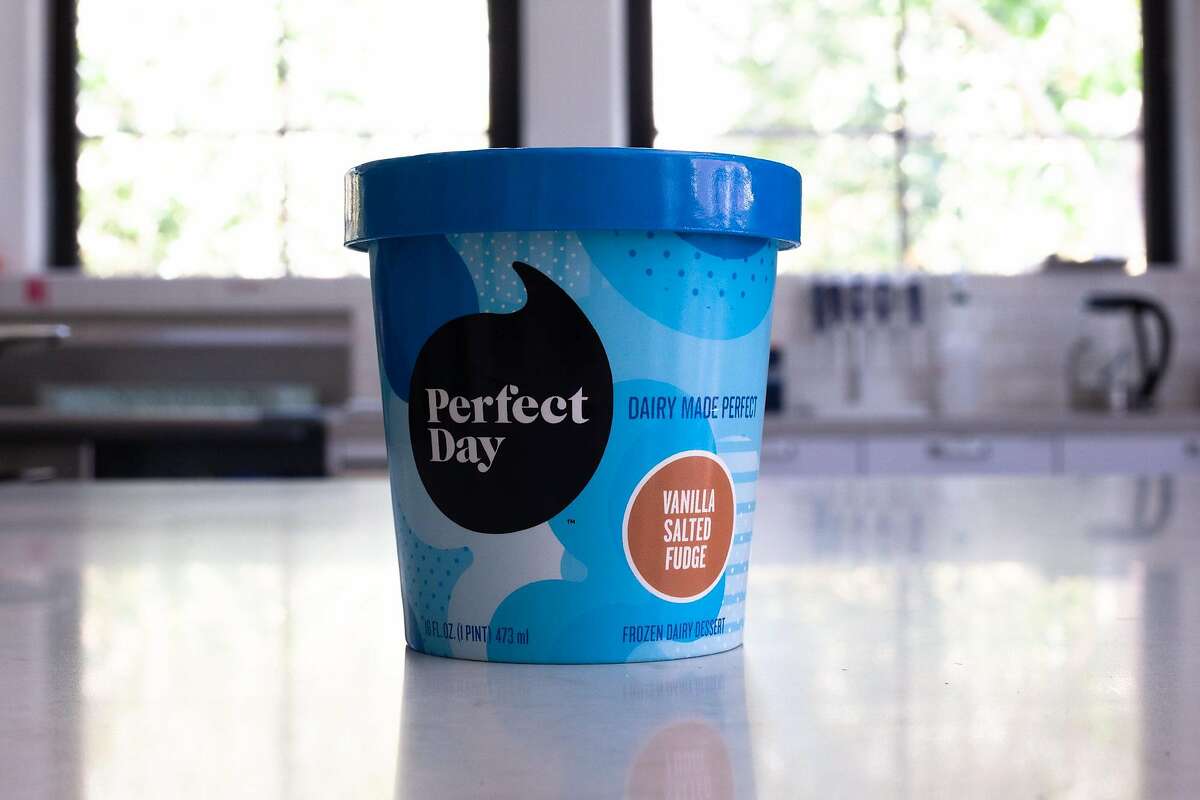 Perfect Day's first product release is a line of vegan ice creams made with dairy proteins that the Emeryville company creates through fermentation.