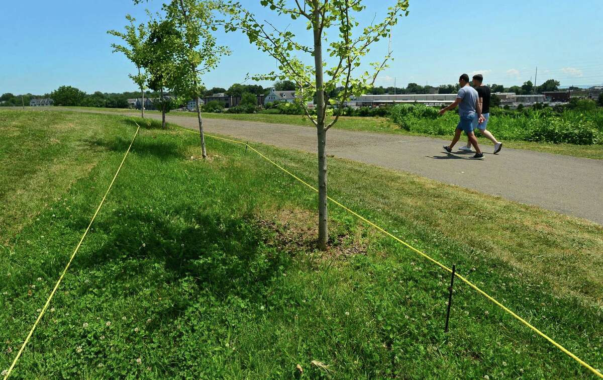 A Pollinator Pathway is roped off at Oyster Shell Park Tuesday, July 9, 2019, in Norwalk, Conn. After a row of milklweed plants in Oyster Shell Park was accidentally mowed last week, the Norwalk River Valley Association has received an abundance of donations and is in the process of replanting.