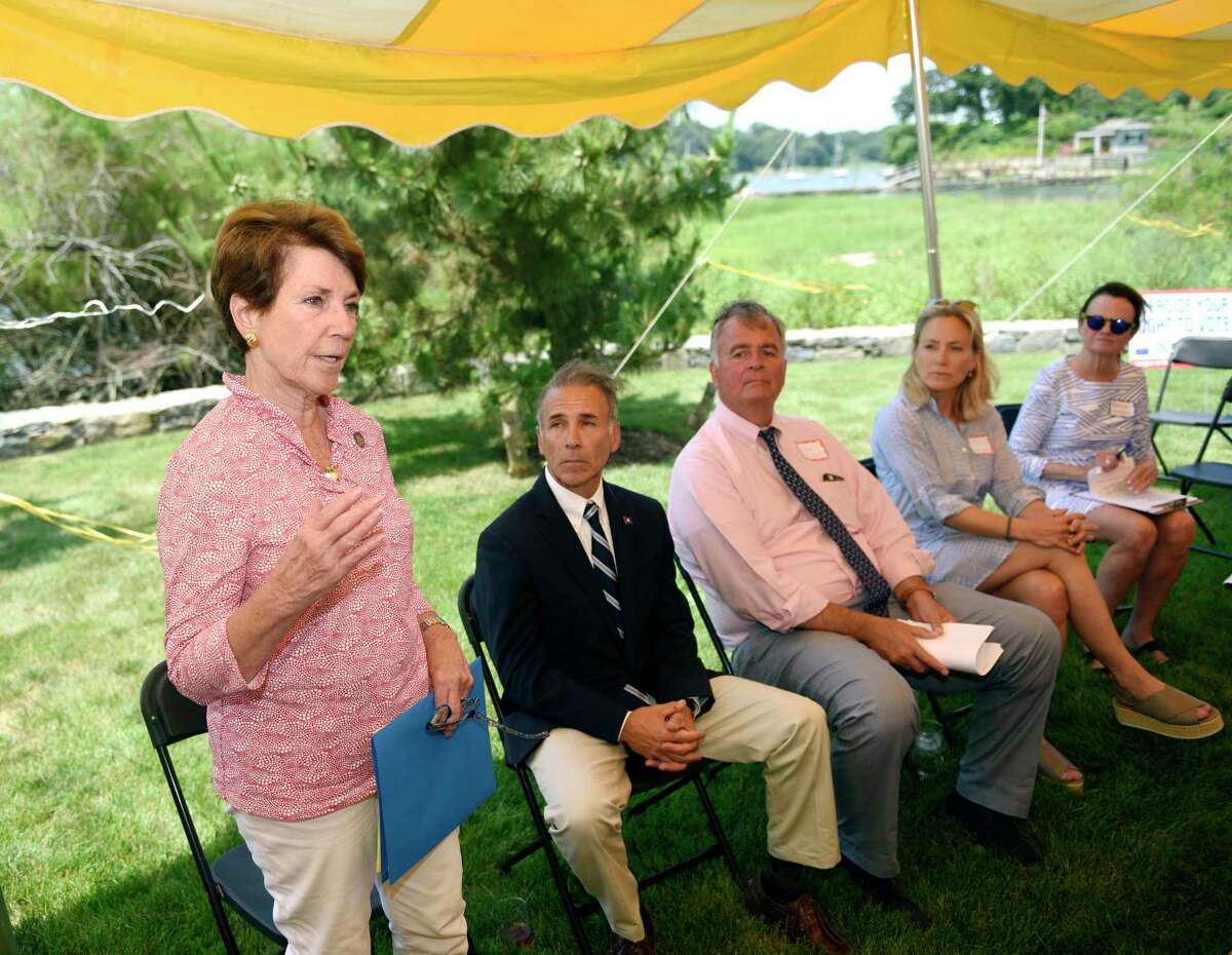 State Rep. Livvy Floren, R-Greenwich, speaks at the annual League of Women Voters legislative picnic at a private residence in the Riverside section of Greenwich, Conn. Tuesday, July 9, 2019. State Sen. Alex Bergstein and State Reps. Livvy Floren, Fred Camillo and Steve Meskers spoke about issues facing the town and state.