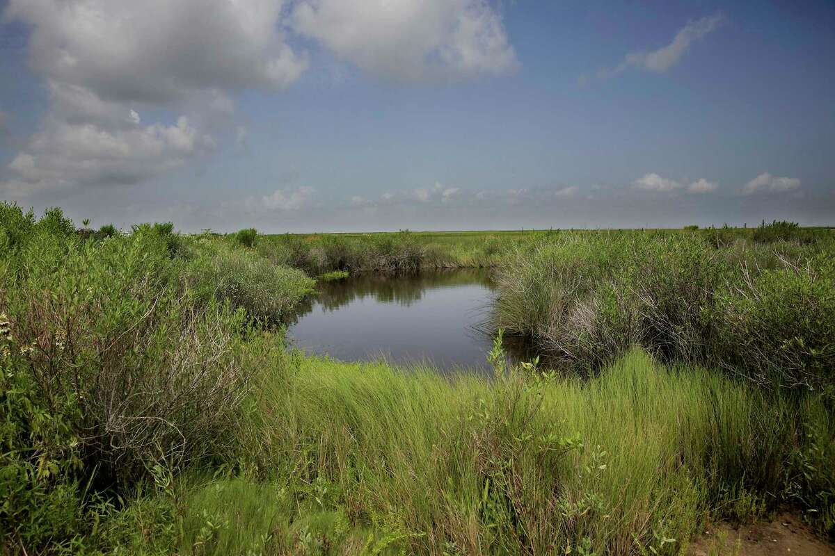 A collection of water near a capped oil & gas drilling site on Galveston Island which is being converted into natural habitat. Recently completed work at the Artist Boat Coastal Heritage Preserve was done through a free program offered by the Railroad Commission of Texas.Friday, June 28, 2019 in Galveston.