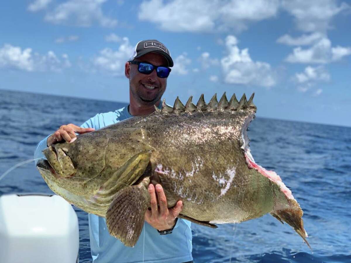 "Seconds after my client got back in the boat after swimming next to this 120-140lb Goliath for a picture a big bull showed up and bit him in 1/2."