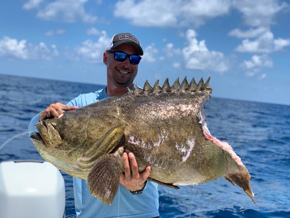 You win some and lose some. It wasn't a big grouper but it would have been  nice to get it before the shark. 😞heavier tackle next tim
