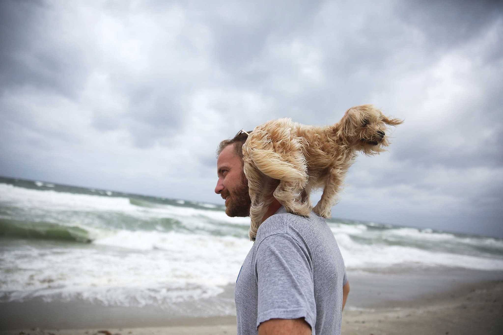 How to protect your pet during severe storms - Helping Dogs Feel Safe During Storms