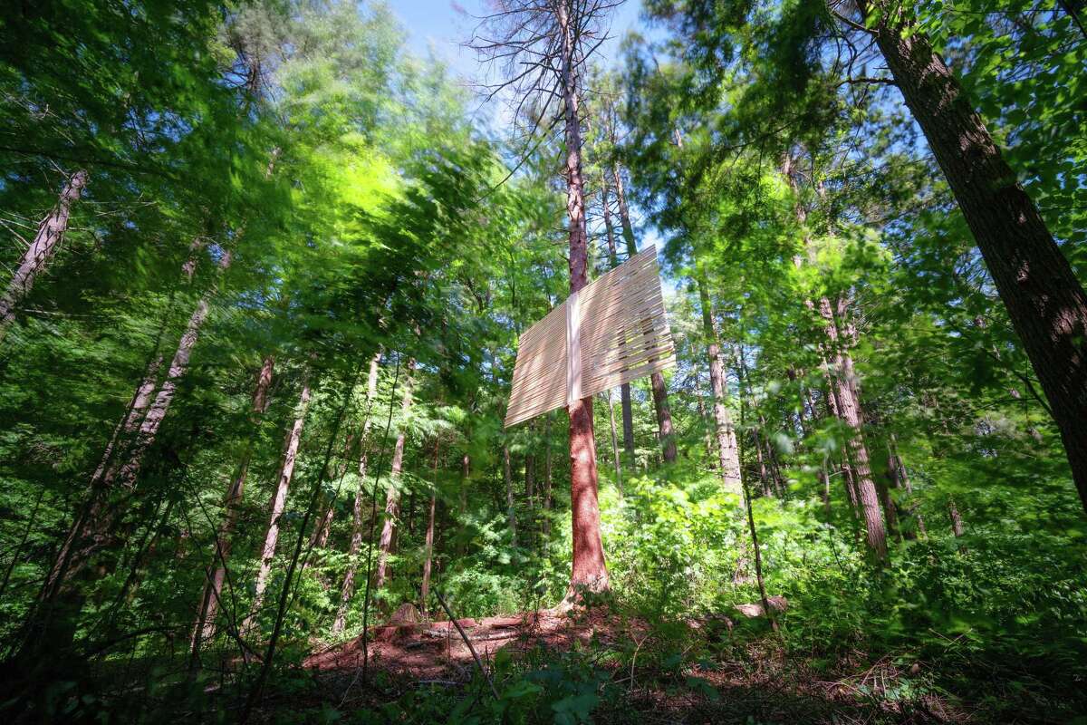 Nature abounds in 'One Impulse from a Vernal Wood' at Chesterwood