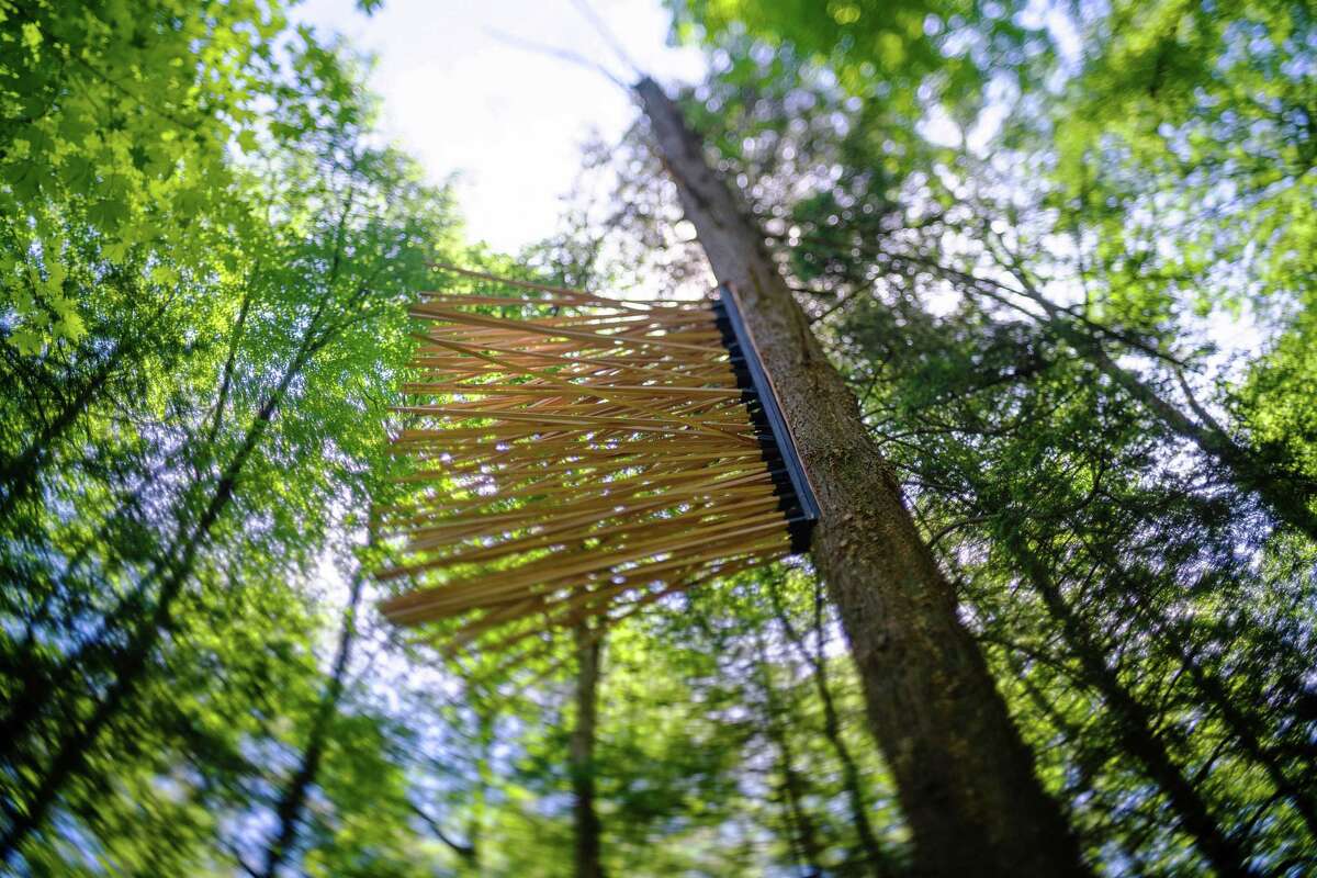 Nature abounds in 'One Impulse from a Vernal Wood' at Chesterwood