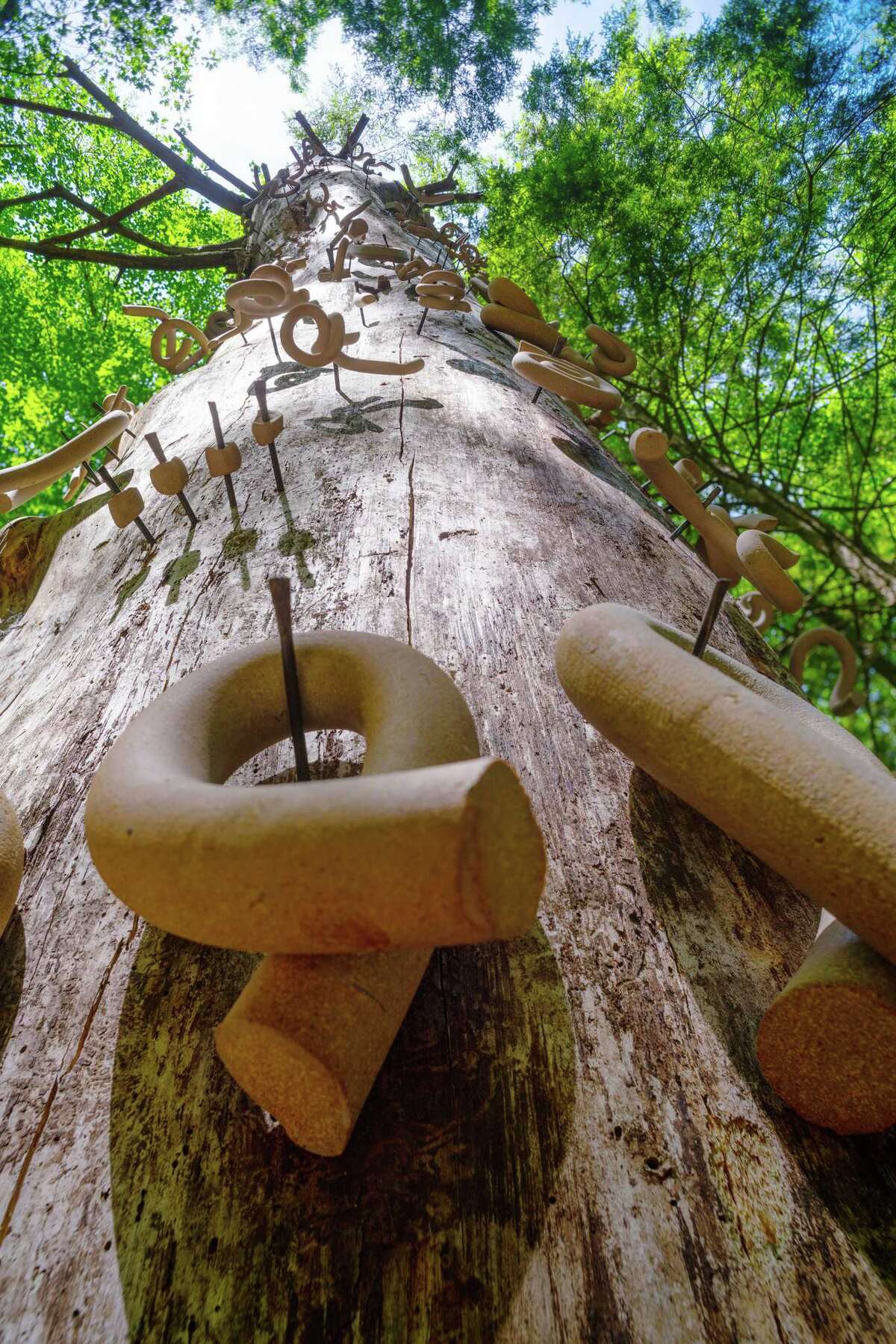 Nature abounds in 'One Impulse from a Vernal Wood' at Chesterwood