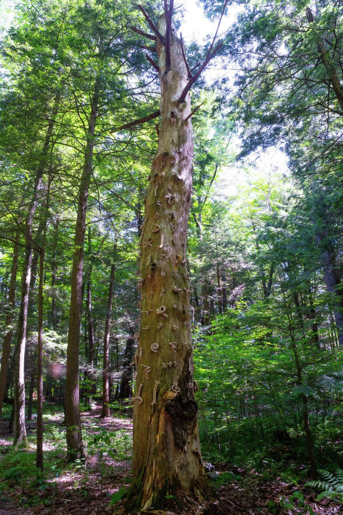 Nature abounds in 'One Impulse from a Vernal Wood' at Chesterwood