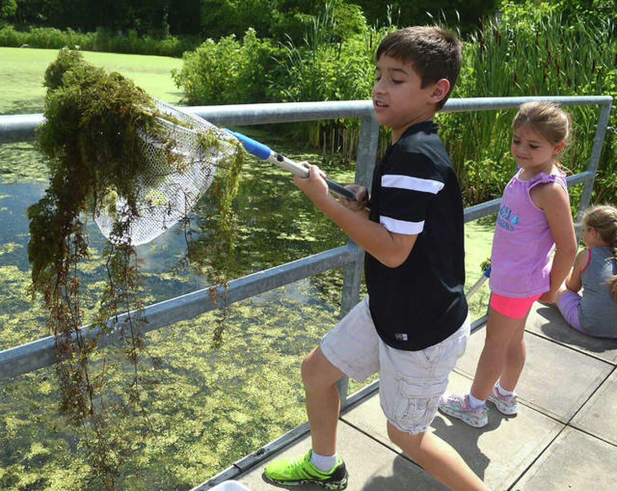 The theme for Thursday’s session of the “Reading in Nature” program at the Watershed Nature Center was “Wetlands,” and kids got to do some dip-netting — going onto the dock of the Watershed pond with nets and buckets to see what kind of animal life they could scoop up.