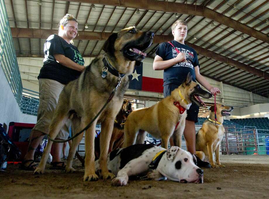 Texas 4H Dog Show The Courier