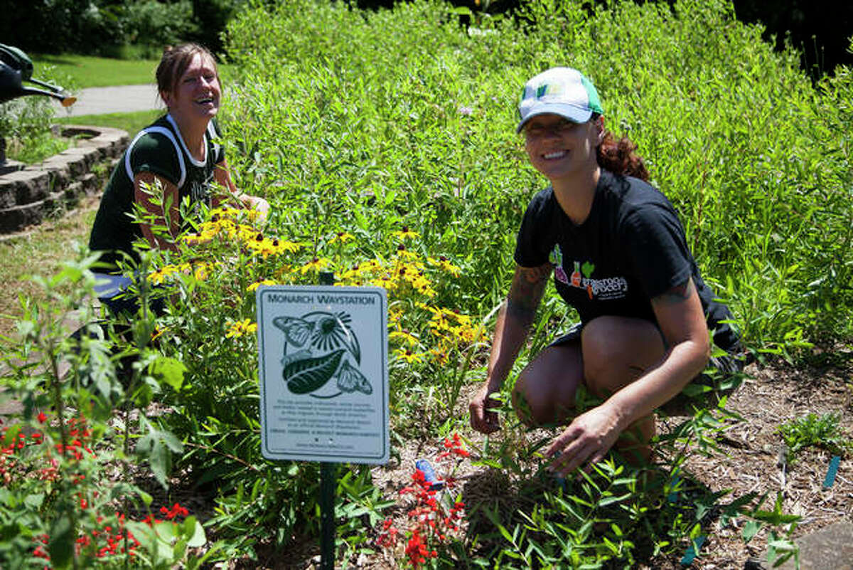 Sally Kirbach (left) and Christine Favilla (right) tend to the butterfly garden at Hellrung Park in Alton during the 3rd Annual Community Gathering