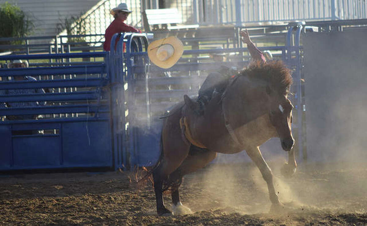 Slideshow Rodeo at the County Fair