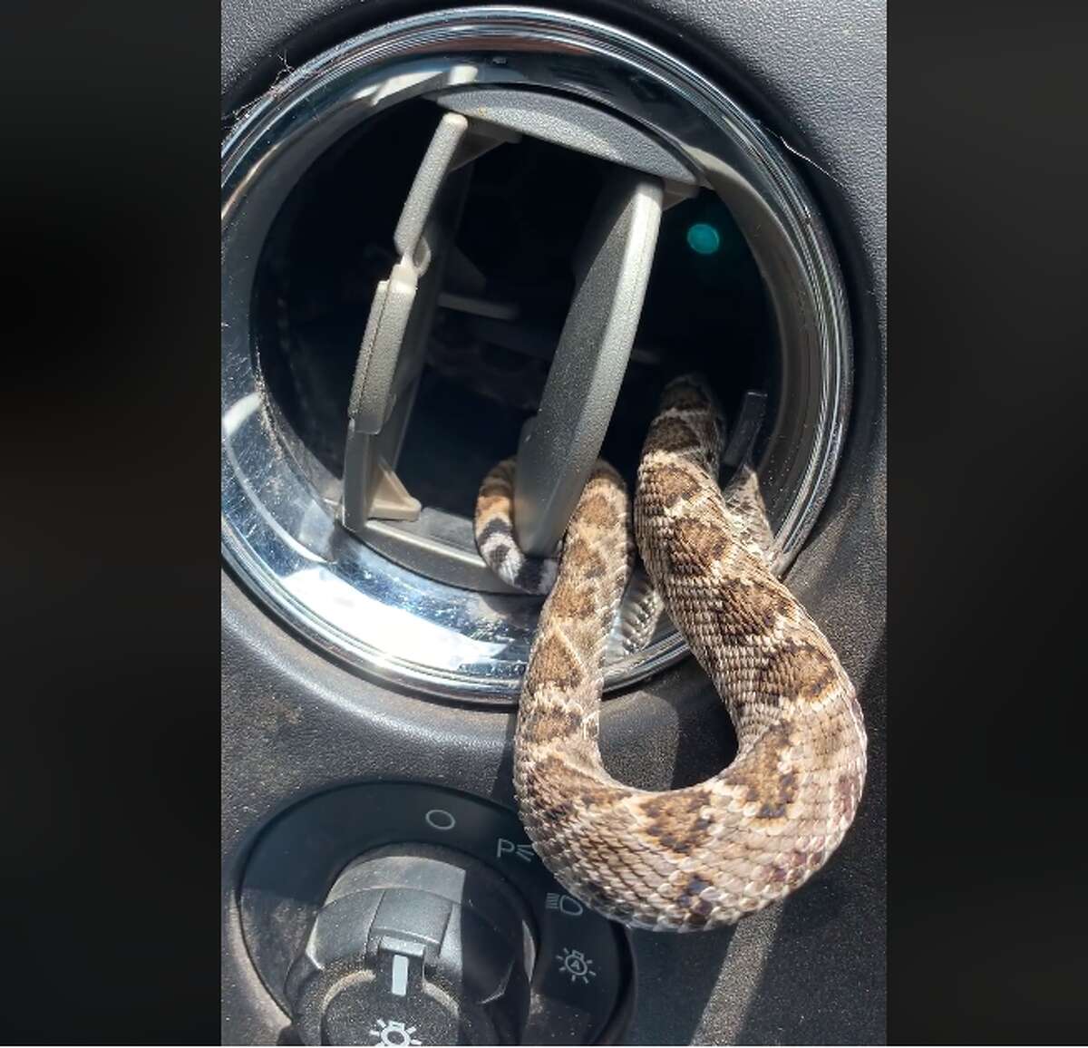 During a drive out to a nearby field in Hood County, Bob Crowell found a foot-long rattlesnake in the vent of his truck.