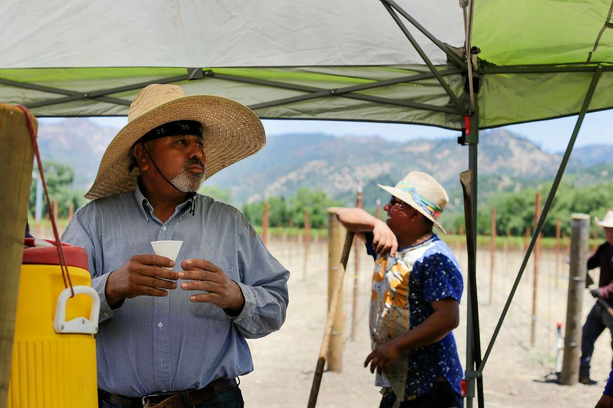 Arturo Logonzo, left gets some water as he and other vineyard workers take a break from planting grapes along Highway 128, Monday July 15, 2019 in Calistoga, Ca. A report due out Thursday by the Union of Concerned Scientists suggests that this warmer future is near and a new study projects that cities in California’s Central Valley will see weeks, if not months, of triple digit temperatures by 2050.