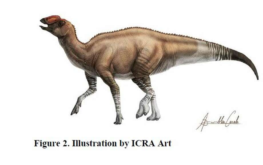 New Species Of Dinosaur Discovered At Big Bend National Park