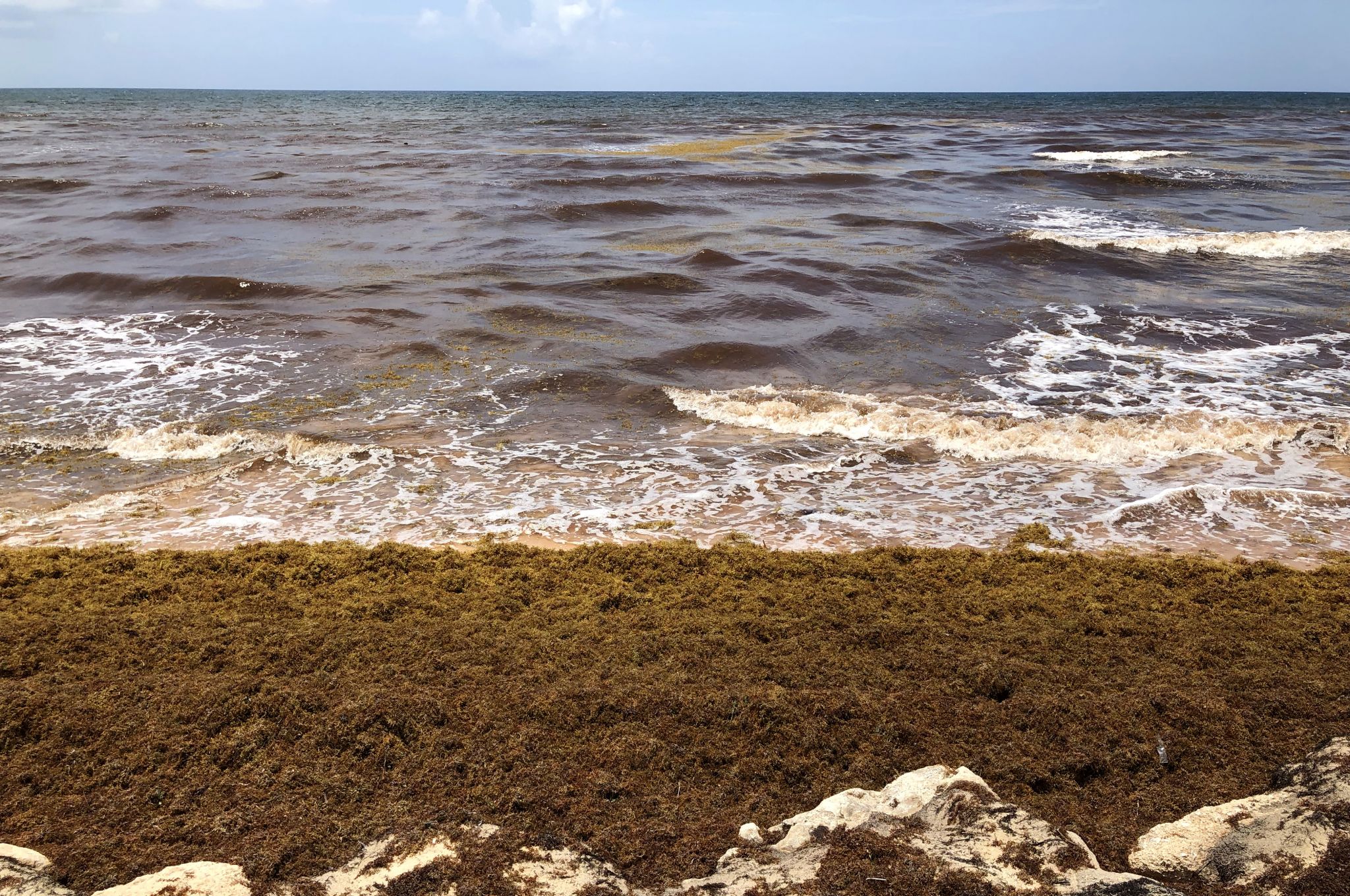 Cancun has a nasty seaweed problem and tourists are staying away