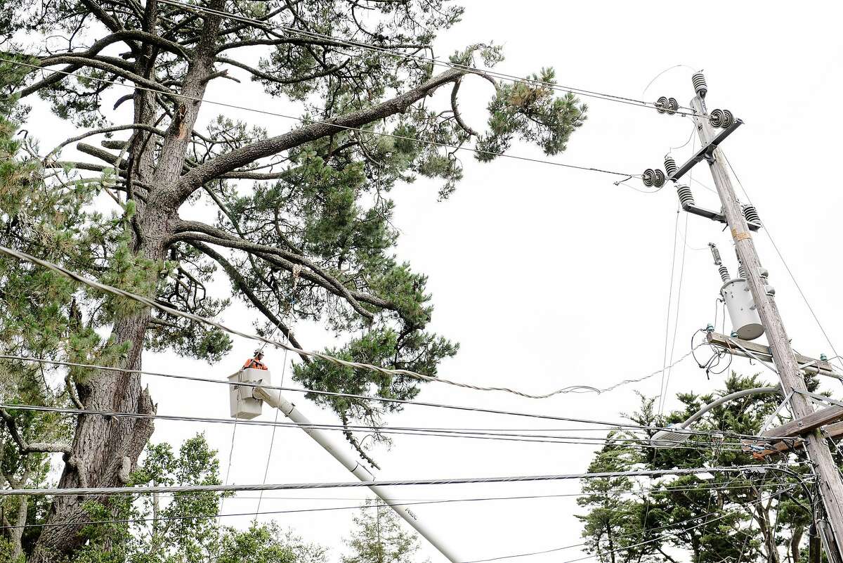 Jose Villeda with Mowbray's Tree Service, contracted by PG&E to handle vegetation management, ties off branches on a tree he is preparing to trim back along Skyline Blvd. in Oakland, CA on June 26th, 2019.