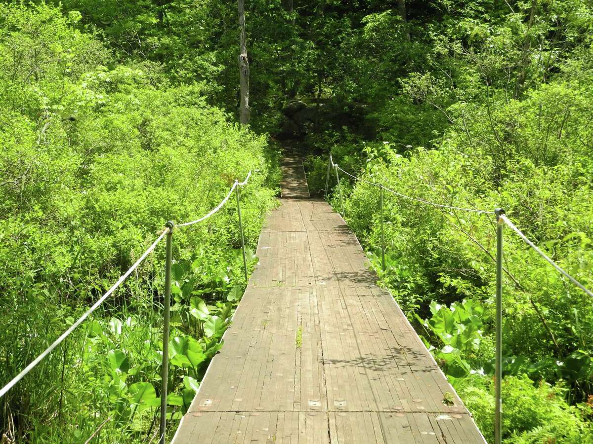 A free hike along Woodcock Nature Center's trails is planned for Thursday, Nov. 19.