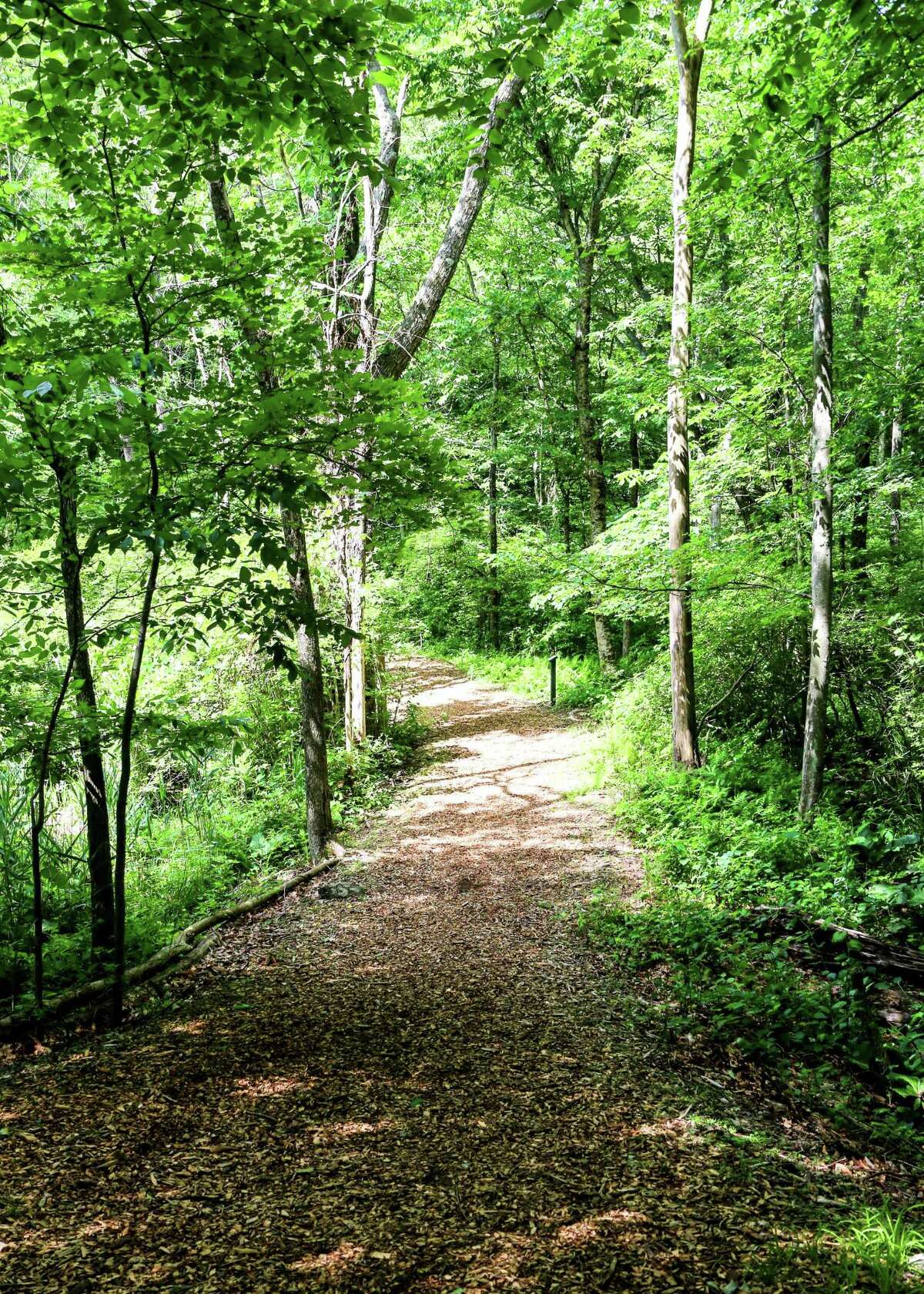 Woodcock Nature Center is offering a Frothy Forage - hiking with beer tastings - on Oct. 19.