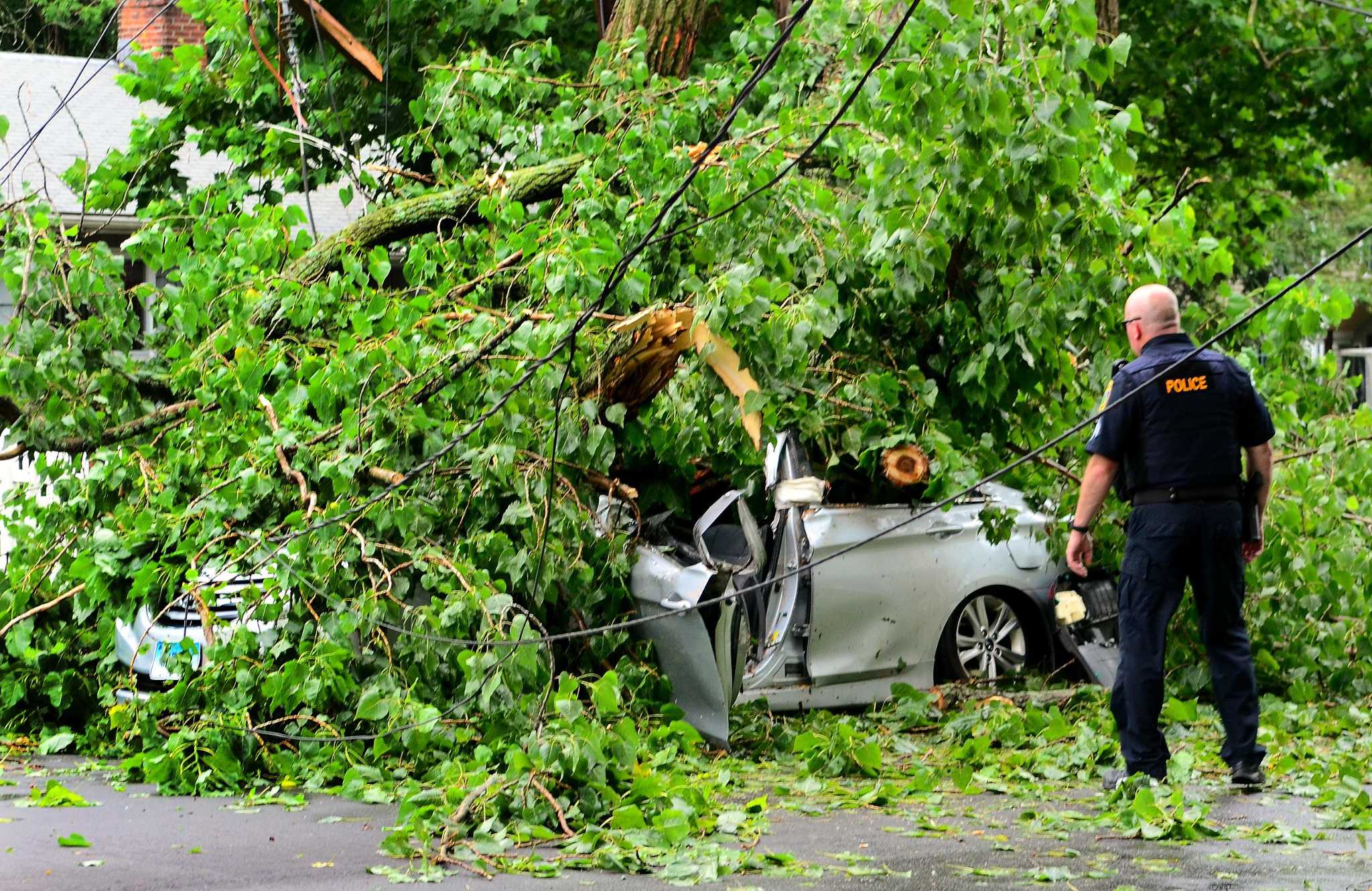 Man dies after wires, tree fall on vehicle on Fairfield-Bridgeport line