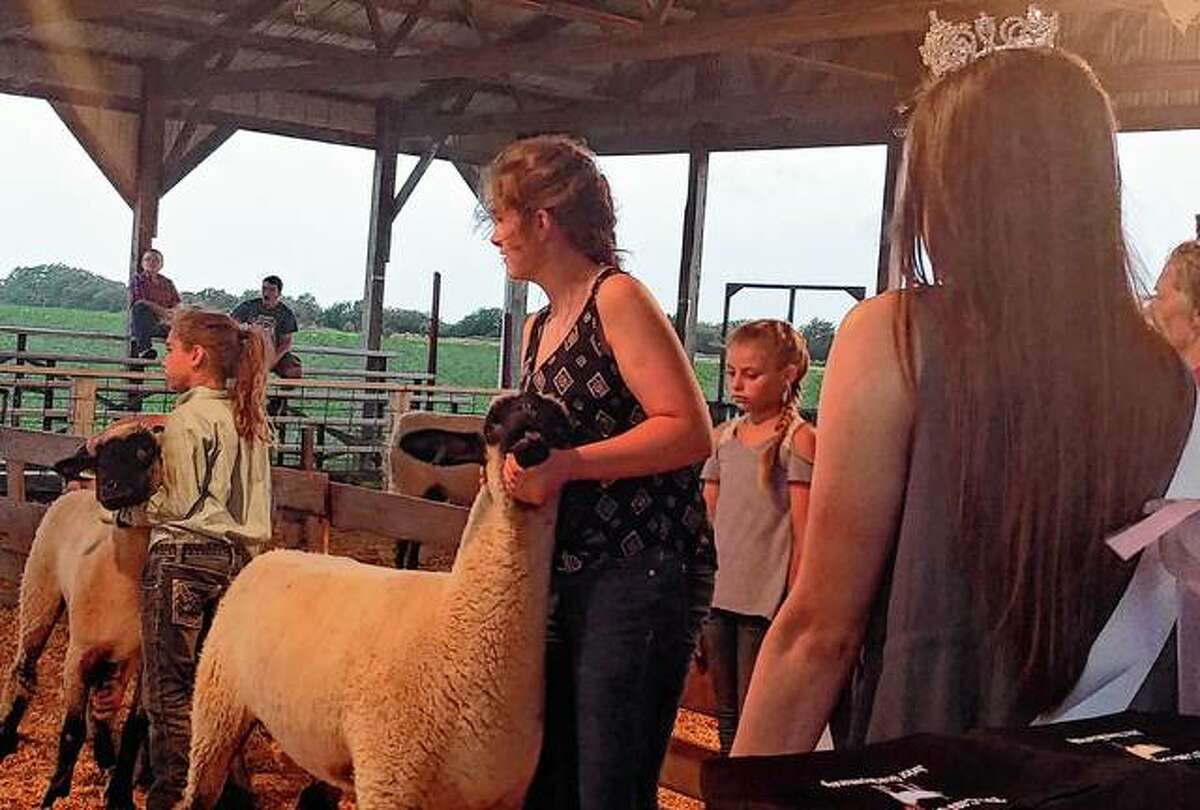 Cass County Queen Brittany Smith (right) waits as a class of sheep are judged Wednesday at the Cass County Fair.