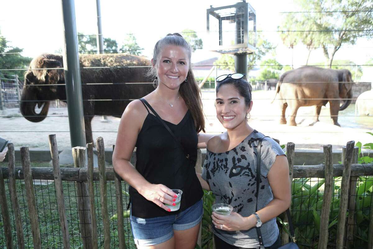 Guest enjoy a Silent Disco at the Houston Zoo Thursday, July 18, 2019 in Houston.