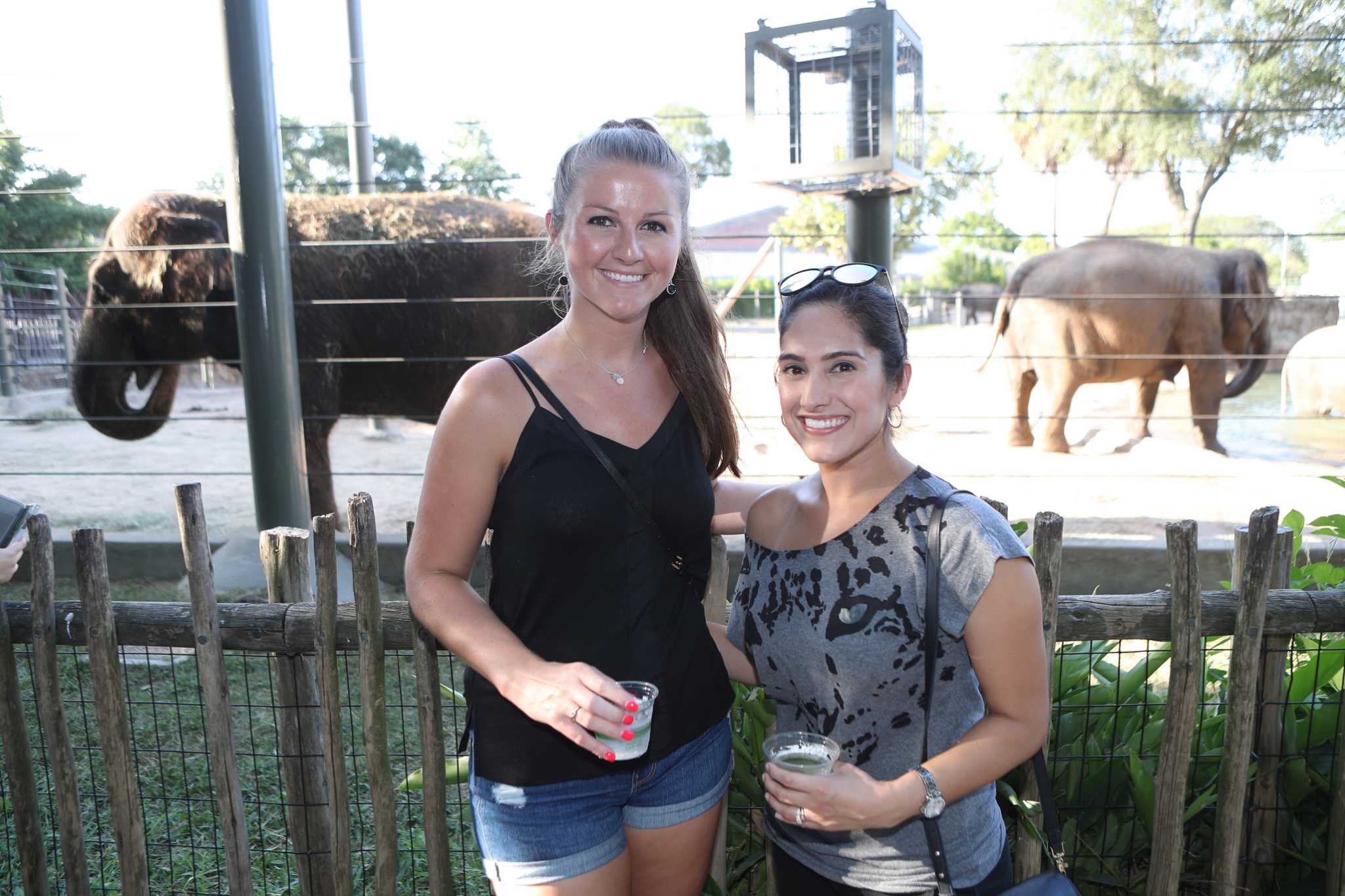 These holiday events in Houston are for adults only - Chron