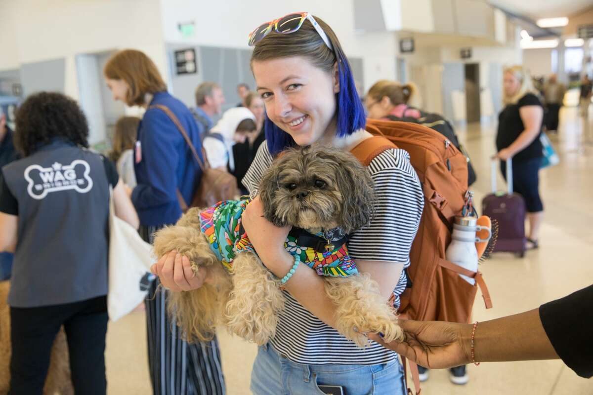Claudia Carvalho of San Jose smiles while holding Benga!, an animal therapy dog of the Wag Brigade, at SFO airport on July 17, 2019.