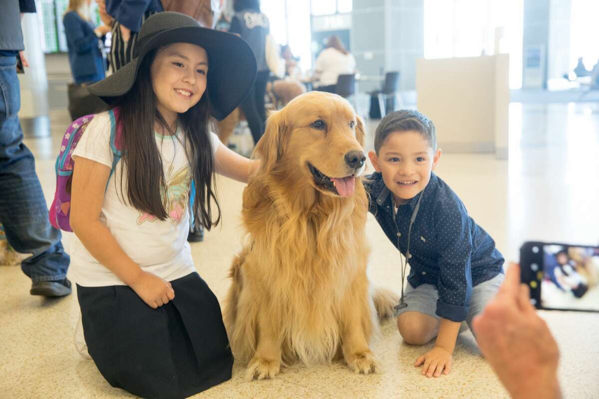 Haily and Ian Andrade of Chicago pose for a photo with Brixton and animal assist therapy dog that is part of the Wag Brigade at SFO airport on July 17, 2019.