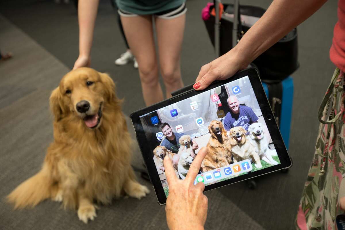 A traveler at SFO takes out her iPad to show a photo of her pet dogs while the Wag Brigade was on an Animal Assisted Therapy session at SFO airport on July 17, 2019.