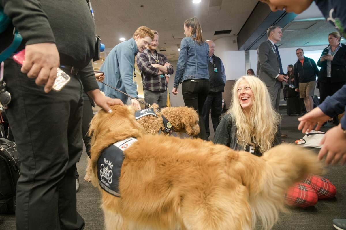 Linda Gordon, the handler for Brixton, talks with travelers while taking part in a Wag Brigade animal assisted therapy session at Terminal 3 of SFO airport.