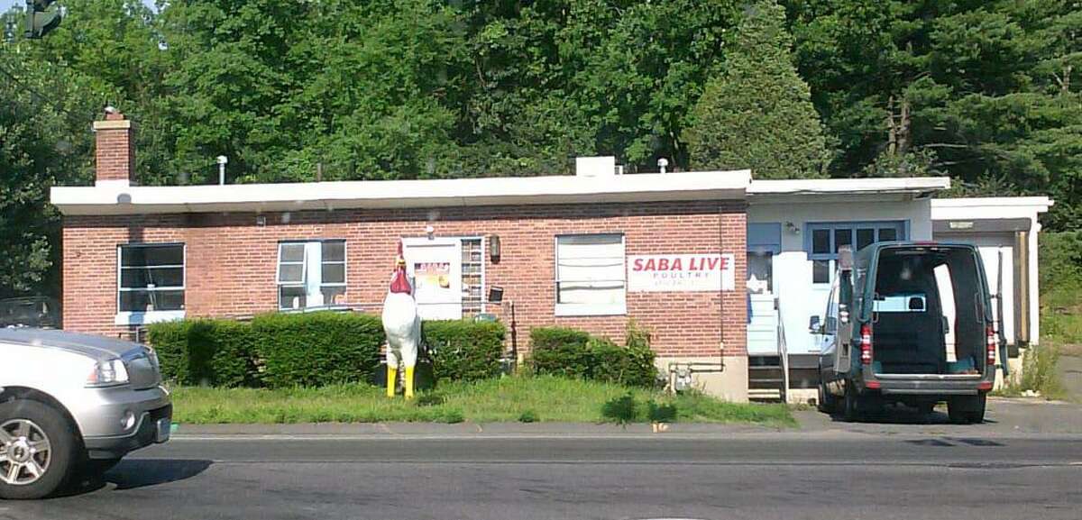 Escaped cow slaughtered in Home Depot parking lot