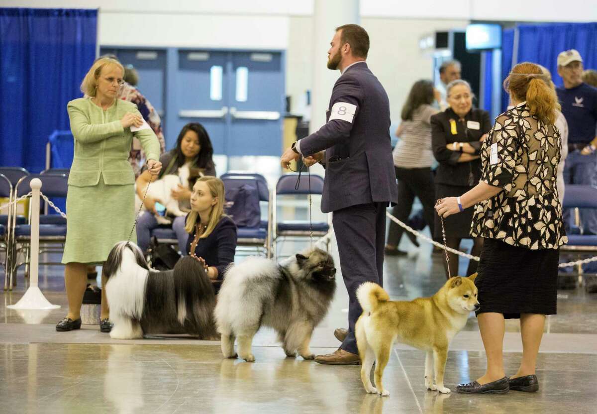 NRG Center goes to the dogs at Houston World Series of Dog Shows
