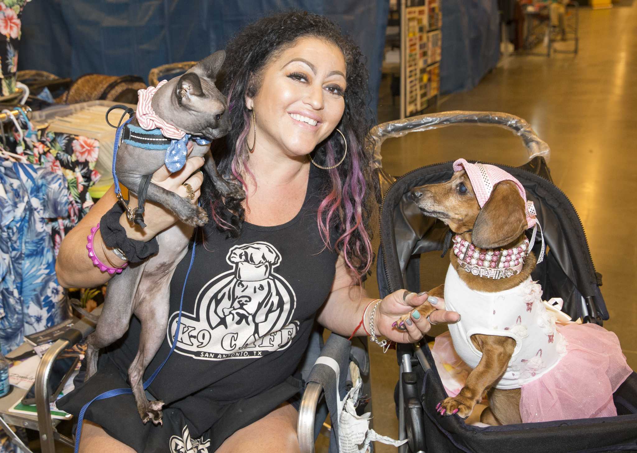NRG Center goes to the dogs at Houston World Series of Dog Shows