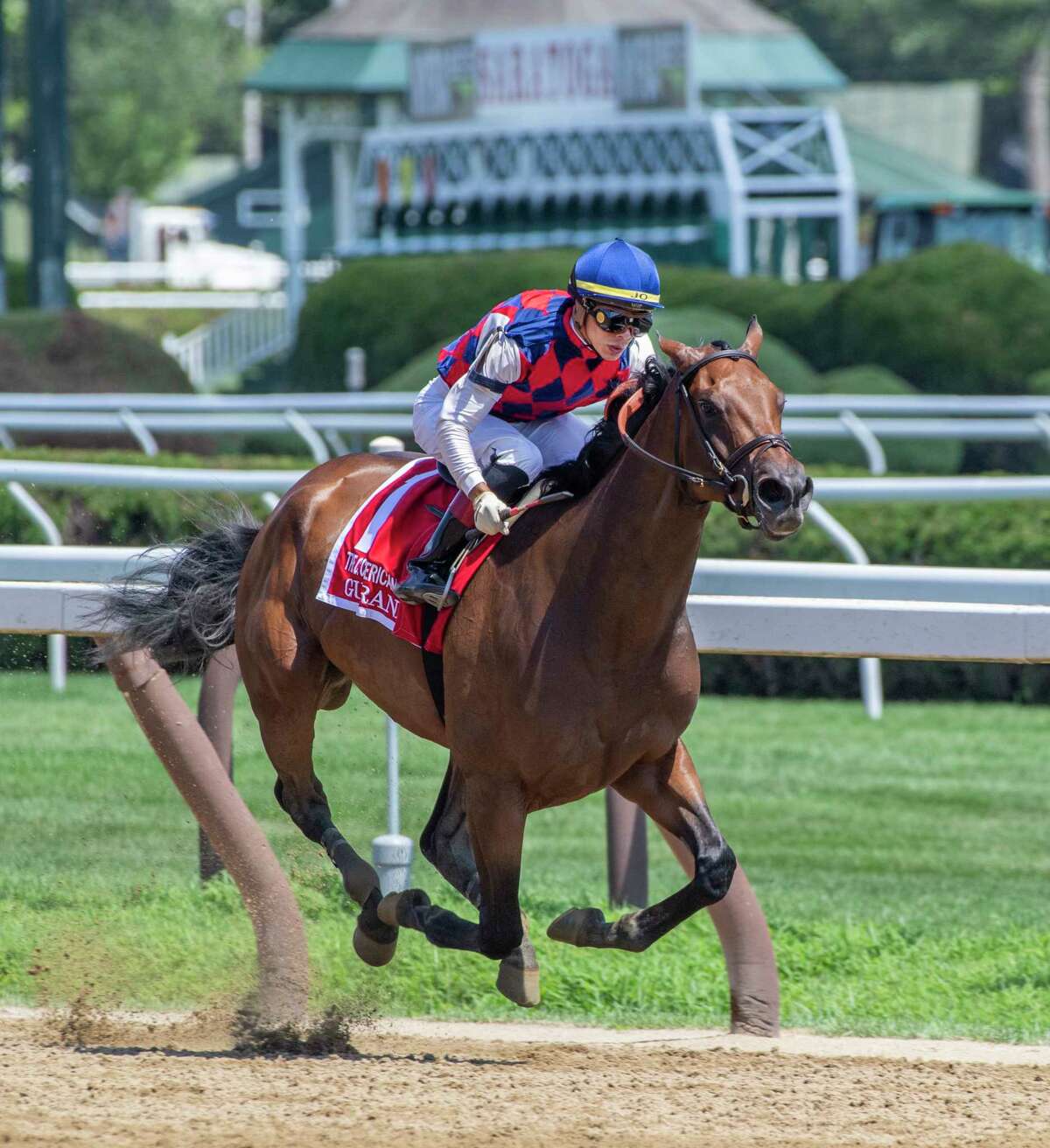 Guarana ridden by Jose Ortiz pulls ahead of the field to win the 103rd running of the Coaching Club American Oaks Sunday July 21, 2019 at the Saratoga Race Course in Saratoga Springs, N.Y. Special to the Times Union by Skip Dickstein