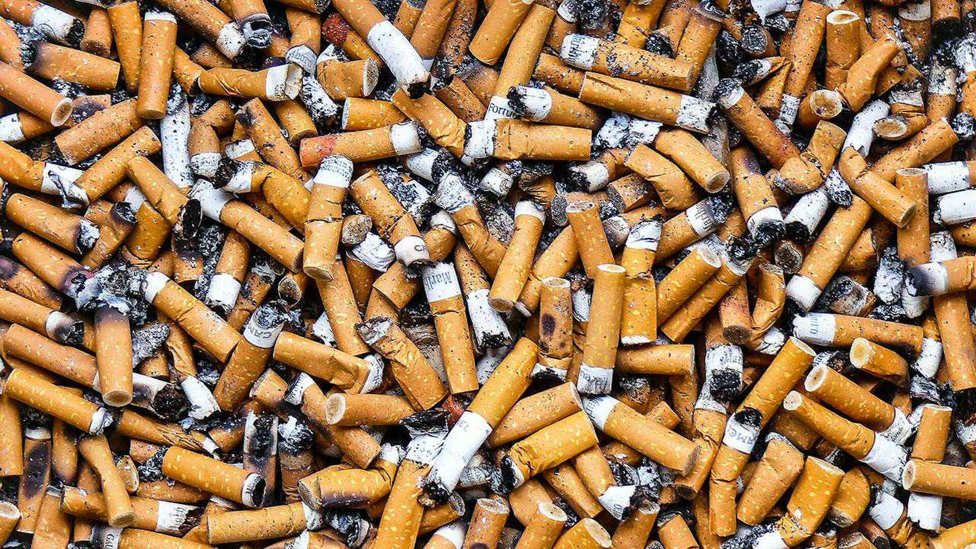 all the ingredients in cigarettes Chemicals in Cigarettes and Tobacco: What's Burning?